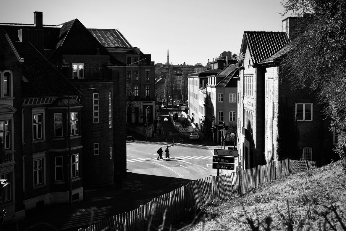 Unikke oplevelser til firmaarrangement Kolding naturligt